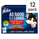 Felix As Good As It Looks Senior Cat Food Meat 12 X 100G