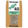 Teapigs Peppermint Leaves 40 Tea Temples