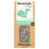 Teapigs Green Tea with Mint 15 Tea Temples